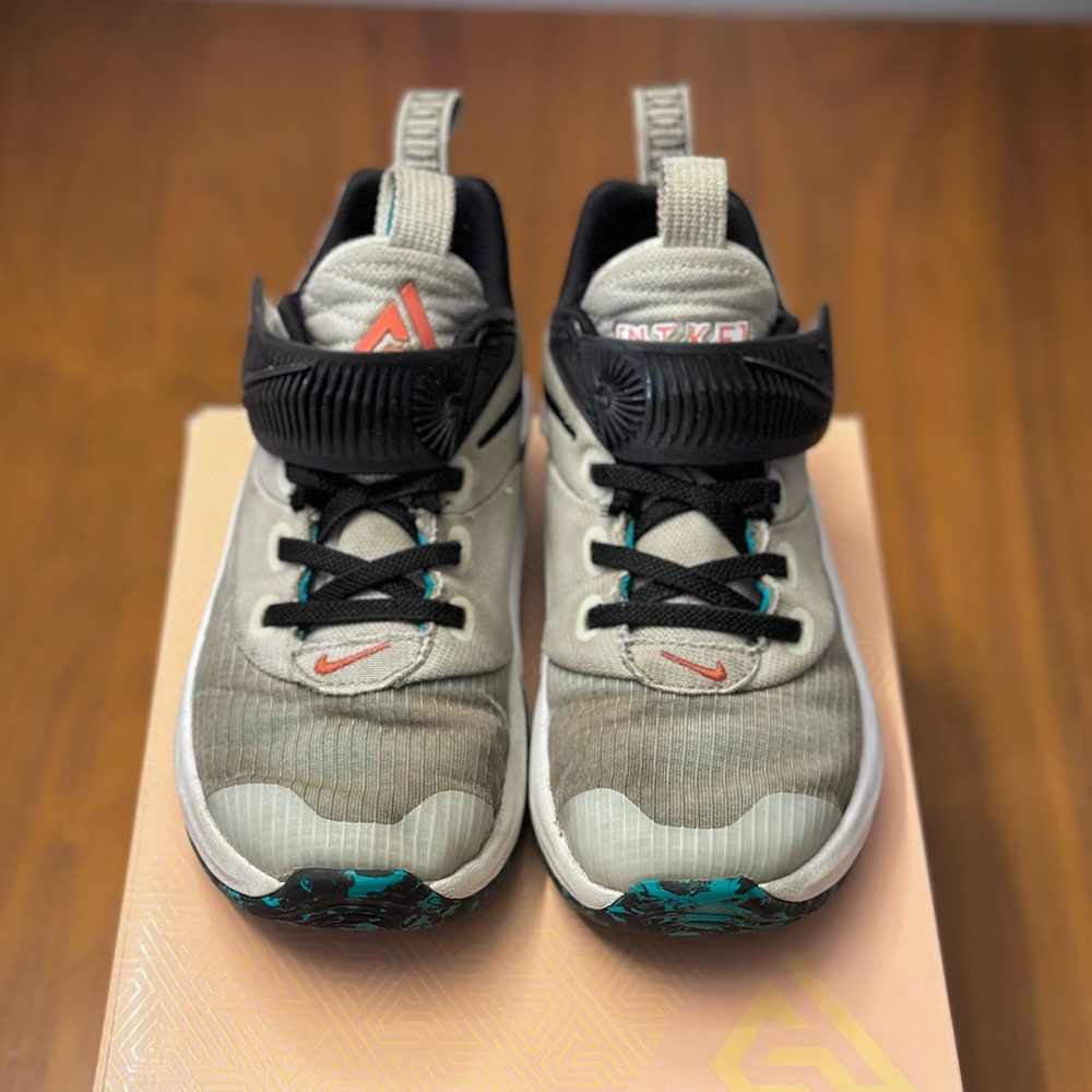 Nike Zoom Freak 3 (PS) Size 1Y